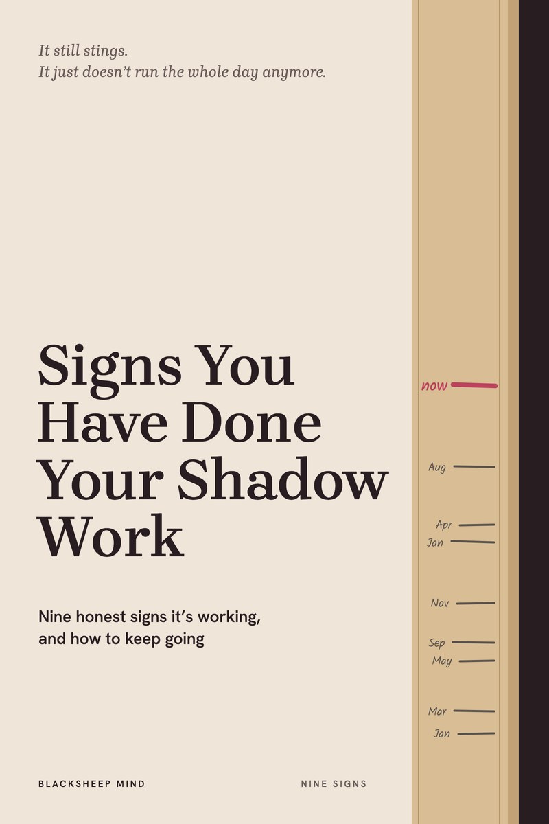 The cover of Signs You Have Done Your Shadow Work.